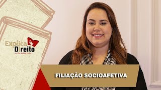 Explica Direito Filiação Socioafetiva  2019 [upl. by Ingemar]